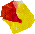Programs
